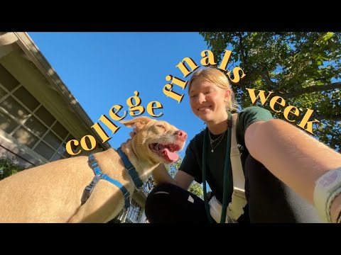 how many days until i go home? - vlogmas day 18