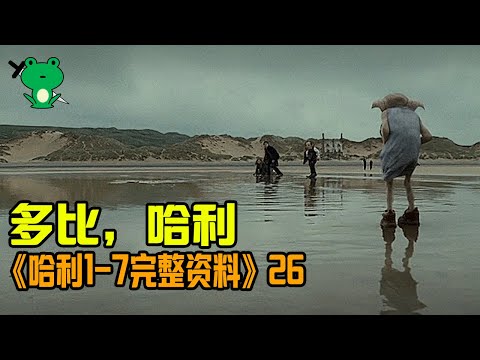 【細品哈利26】哈迷10年疑惑：為什麼撒謊不認哈利？|最硬核的《死亡聖器》解析