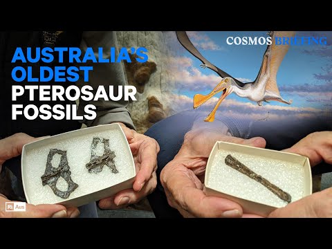 Australia’s oldest pterosaur fossils found in ancient polar wilderness | Cosmos Briefing #science