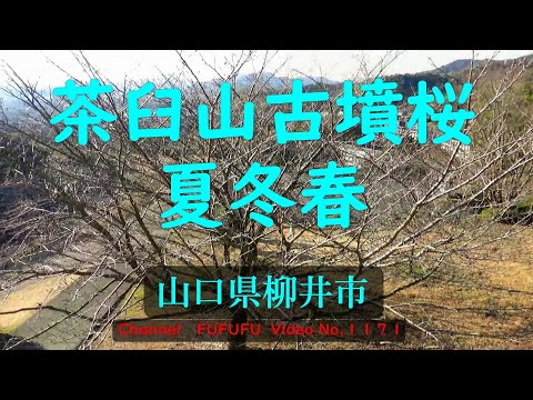 茶臼山古墳　夏冬春　山口県柳井市　No,1171