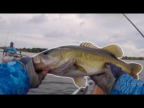 Kayak Bass Fishing | Fall In Florida