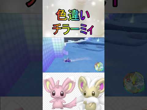 色厳選ほぼ放置色違いチラーミィ、チラチーノ入手【ポケットモンスターバイオレットスカーレットSV/ゼロの秘宝/碧の仮面/藍の円盤】#shorts #藍の円盤 #色違い #色厳選 #ポケモン