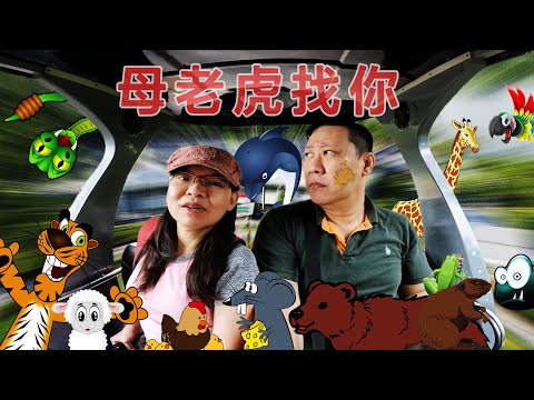 动物园 Steven&Leong｜慧走高飞024