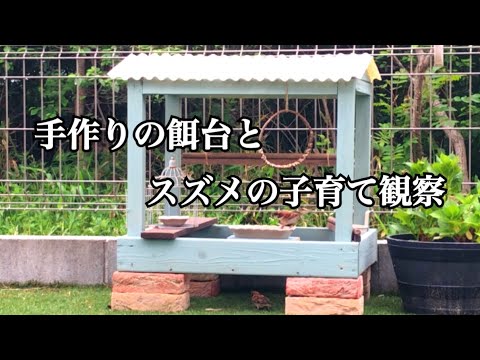 野鳥の餌台作ってみた♩お庭でバードウォッチング