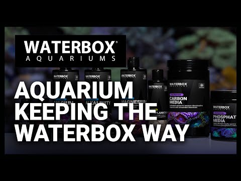 Aquarium Keeping with The Waterbox Method - Episode 186