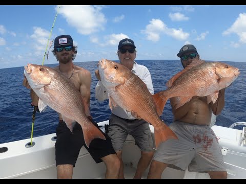 Scouting for 2023 Red Snapper Season Gulf of Mexico