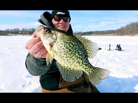 Tungsten Tips to Catch WAY More Crappies (Jigs, Plastics & Meat)