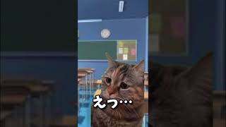 詫びの入れ方が893なんよ【音源お借りしました】