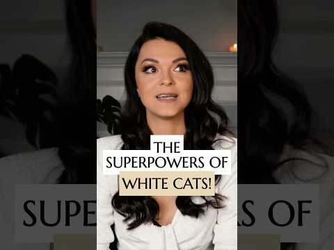 The superpowers ⭐️ of white cats! #catlover #catpower