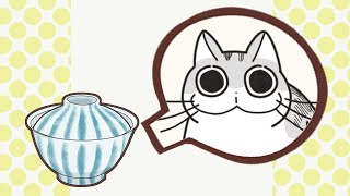 【夜は猫といっしょ】キュルガ丼★ Cute Cat Kyuruga in thd rice bowl Animation