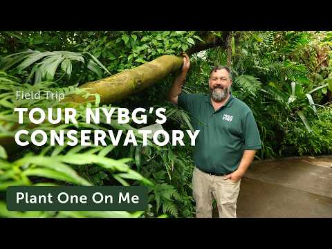 Tour NYBG's CONSERVATORY  — Ep. 389