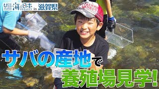 鯖そうめん拡め隊 2日目のようす 日本財団 海と日本PROJECT in 滋賀県 2019 #12