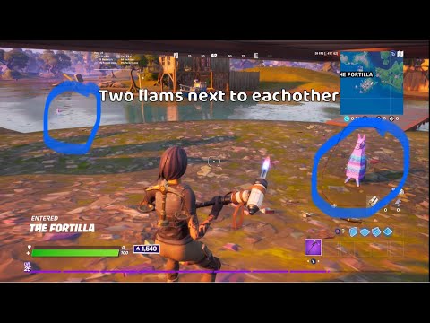 The luckiest thing to ever happen in Fortnite (two llama next two each other)