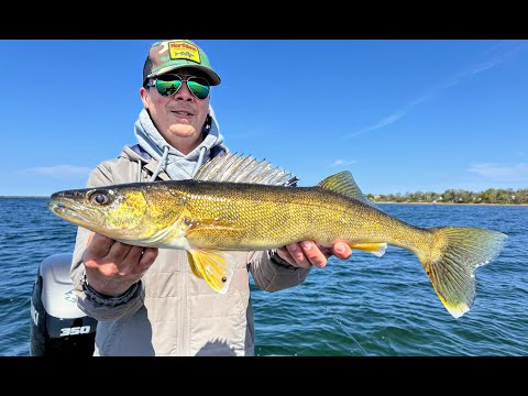 Catching Walleyes on NEW Tungsten Stand-Up Jig (ft. Tom Huynh)