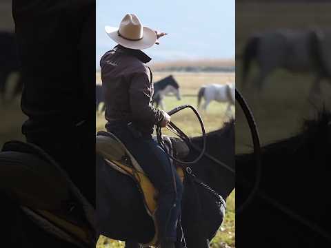 Cowboy everyday life 🐎🐄#life #lifestyle #cowboy #horse #cattle #ranch #meaningful #fyp #fypシ゚viral