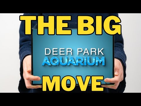 Moving an entire Fish Store!!!