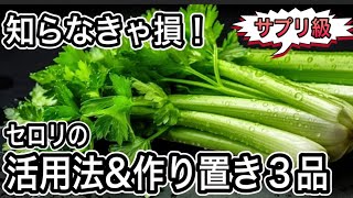 天然のサプリ【セロリは丸ごと】使い切りが正解！茎も葉も美味しく食べ切る無限レシピで体整う作り置き３品