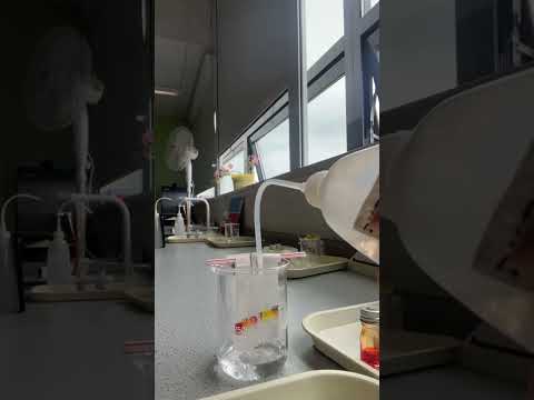 Chromatography Experiment In School #chemistry #chromatography