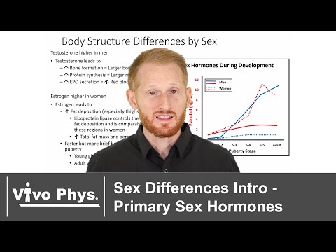 Sex Differences Intro - Primary Sex Hormones