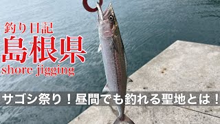 【島根遠征】サゴシ祭り！島根県のポテンシャル。昼間でも釣れるのは最高でした。