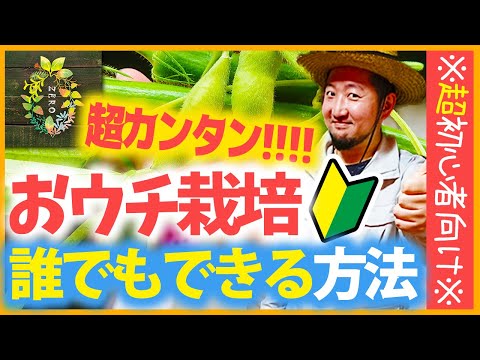 【園芸】信じられない!!ガーデニング初心者でも超簡単!!これさえあれば何もいらない栽培キット紹介します