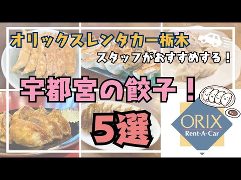 【宇都宮グルメ】オリックスレンタカースタッフがおすすめする！ 宇都宮の餃子 5選！