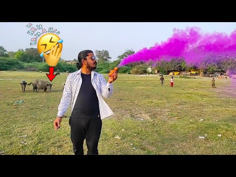 holi video || happy holi || holi shorts