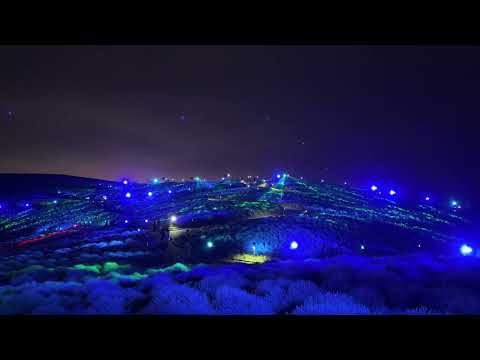 コキアライトアップ 2024 / Kochia Light Up 2024 (Part 1) -- 国営ひたち海浜公園 / Hitachi Seaside Park (2024/9/27)