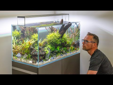 Pro Grade High Tech Aquascape Makeover (4K)