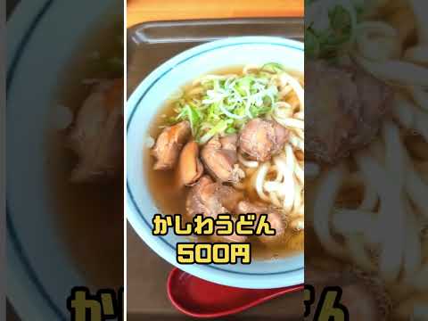 日南市【ゆんぼうどん】ガツンといりこ出汁のやわらかうどん。