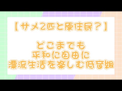 【すたぽら切り抜き】どこまでも平和に自由に漂流生活を楽しむ低音組