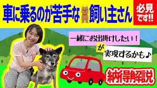 【犬のしつけ】車が苦手なワンちゃんの飼い主さんは必見★愛犬の移動対策♪