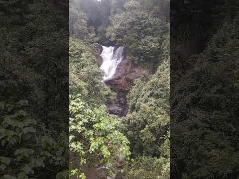 Beautiful kadambi  falls kudremukha