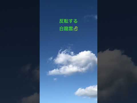 青空に真っ白に映える姿🐉#shorts #short #龍神様 #龍神雲 #龍雲