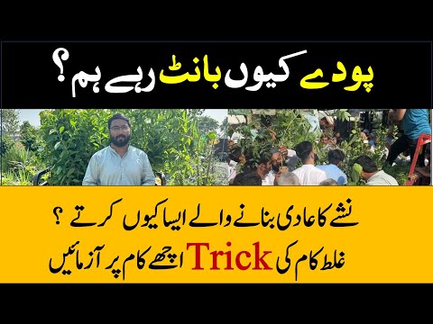 Plants gift with the help or overseas Pakistanis