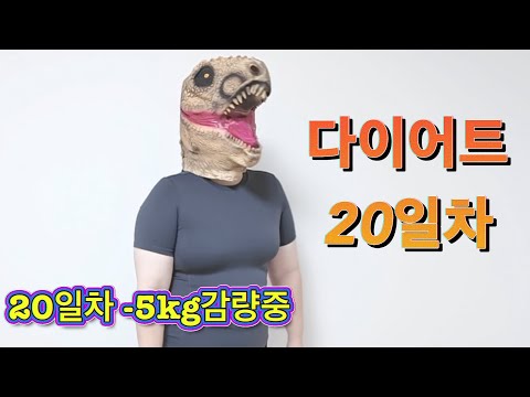 다이어트 아직정복중 19-20일차 고도비만 다이어트 브이로그 super morbildy  obese diet vlog