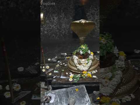 Ghoradeshwar Mahadev Mandir #shorts #VlogGoals