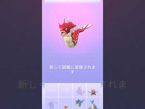 【色違いコイキング】赤いギャラドスに進化させてみた！ #色違いポケモン #ポケモンgo #ポケモンgo色違い #金コイキング #pokemonGO