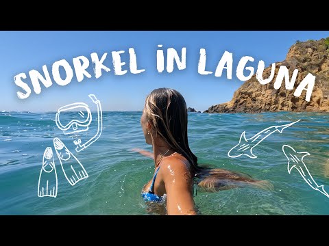 Leopard Sharks & Bikini Weather :) Summer Snorkel Vlog!