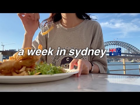 Summer Christmas in Sydney🇦🇺 my flight got canceled, I finally got to pet a cat! iPhone 14 pro