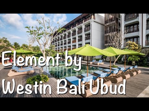 【バリ島ウブド旅行】Element by Westin Bali Ubud 🌺【Bali】🌺【家族でホテル紹介】