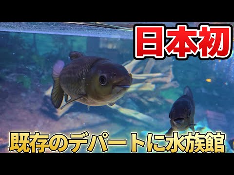 日本初の駅前デパート水族館、カワスイをレポート！