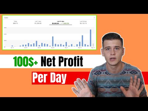 100$+ Per Day In Net Profit Dropshipping From Aliexpress To eBay | In My First Month