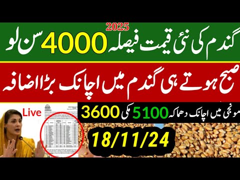 today wheat price in punjab//گندم کا ریٹ/25 '2024/munji makki till sarso/galla mandi rates today