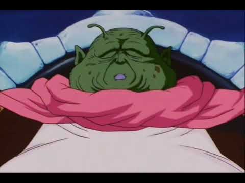 Party Pooper (Dragon Ball Z Abridged)