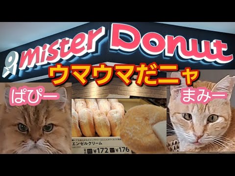 【流行語大賞 猫ミーム】イオンでミスタードーナツのベスト3を選んだ。ミスド 食べ放題CAT MEME SONG 三菱デリカミニ 新型N-BOXカスタム クリスピークリームドーナツ 猫ミーム素材