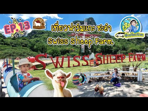 ตุ่นเที่ยวไทย l บุกไป Swiss sheep farm ชะอำ ดูพี่กระต่าย พี่เต่า พี่ม้า น้องหนูแฮมเตอร์น่ารัก  EP13