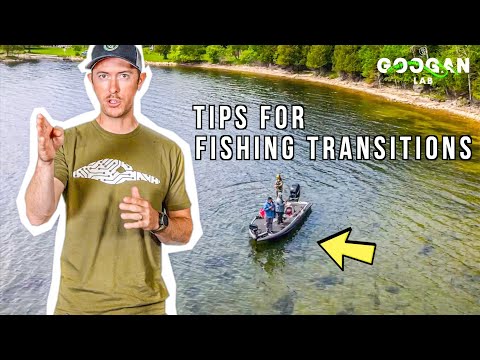 HOW TO Catch More FISH near TRANSITIONS! ( BASS FISHING TIPS )