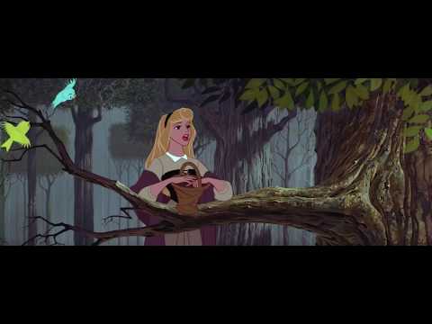 Sleeping Beauty:  I Wonder Aurora