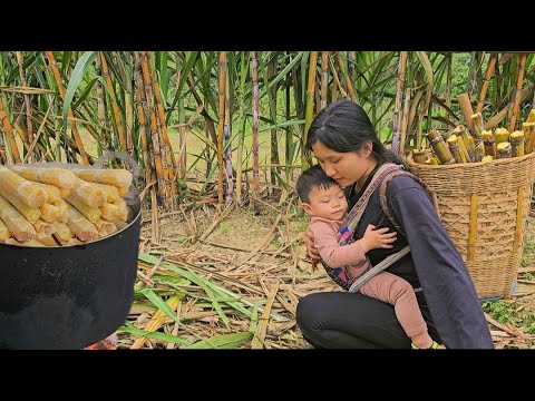 Poor mother: How to make sweet and fragrant sugar cane - bring it to the market to sell | Ly Tieu Nu